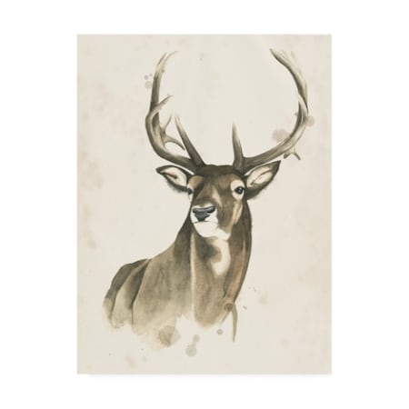 Grace Popp 'Animals' Canvas Art,24x32
